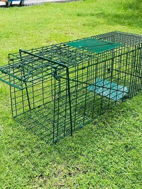 26in Collapsible Catch and Release Trap